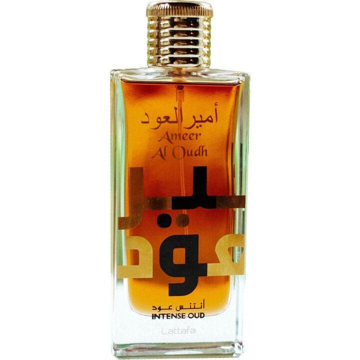 Ameer Al Oudh Intense Oud - Tega Scents